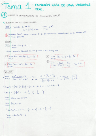 TEMA 1 FUNCION REAL DE UNA VARIABLE.pdf