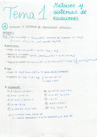 TEMA 1 - MATRICES Y SISTEMAS DE ECUACIONES.pdf