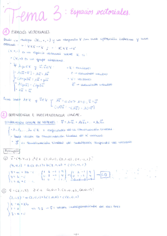 TEMA 3 - ESPACIOS VECTORIALES.pdf