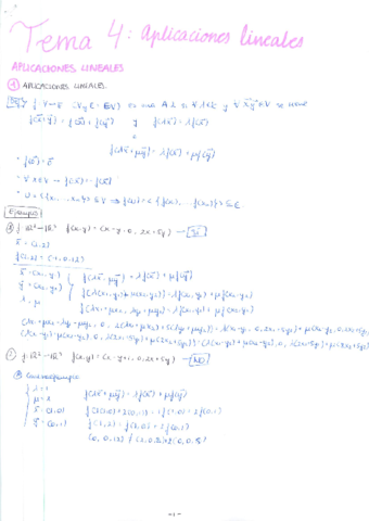 TEMA 4 - APLICACIONES LINEALES.pdf