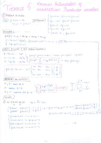 TEMA 5 - FORMAS BILINEALES Y PRODUCTO ESCALAR.pdf