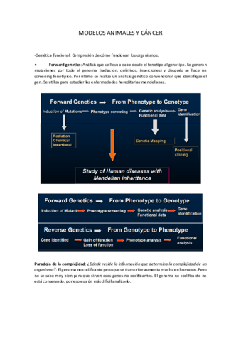 10. Modelos animales.pdf