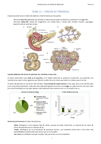 Tema 11. Páncreas.pdf