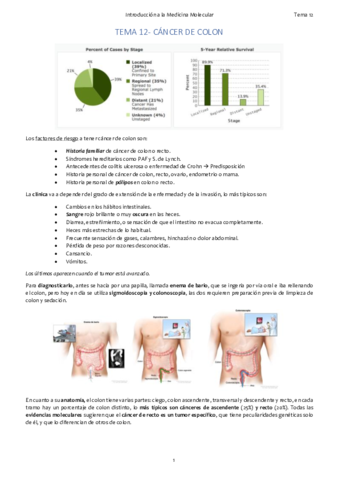 TEMA 12. Colon.pdf