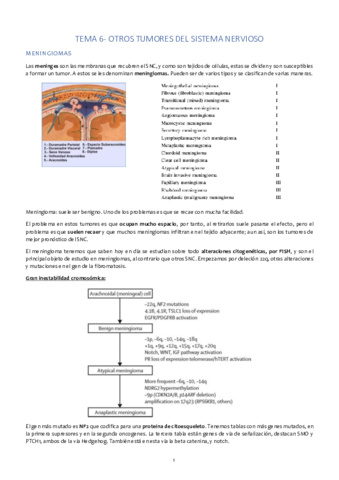 Tema 6. Otros tumores del SNC.pdf