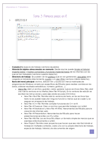 Tema 3 Informática II.pdf