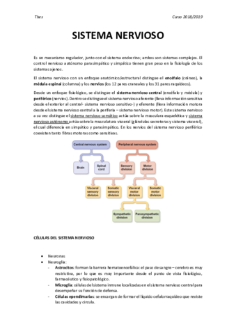 Sistema nervioso.pdf