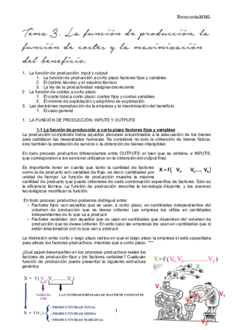 T3 eco.pdf