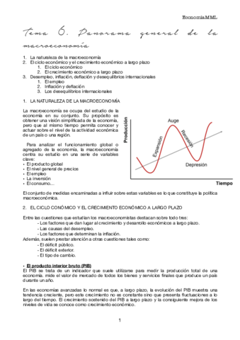 T6 eco.pdf