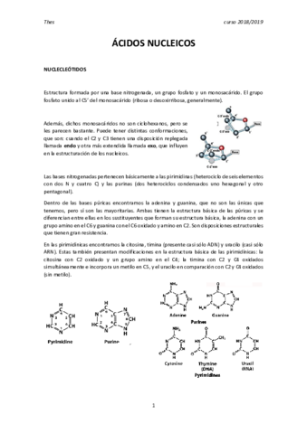 Ácidos nucleicos.pdf