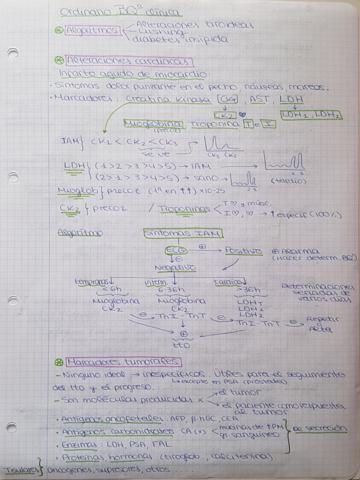 Resumen Ordinario.pdf