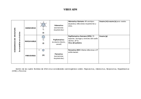 TABLA RESUMEN VIROLOGÍA.pdf