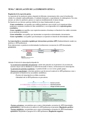 T7 Regulación de la expresión génica.pdf