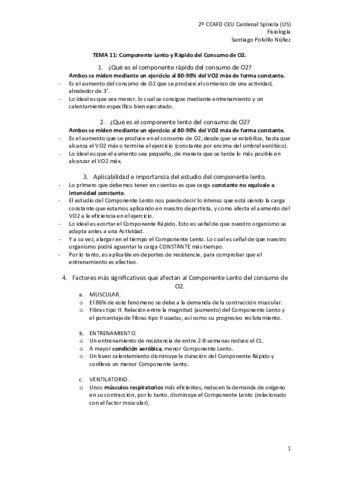 TEMA 11_Componente Lento y Rápido del consumo de O2.pdf
