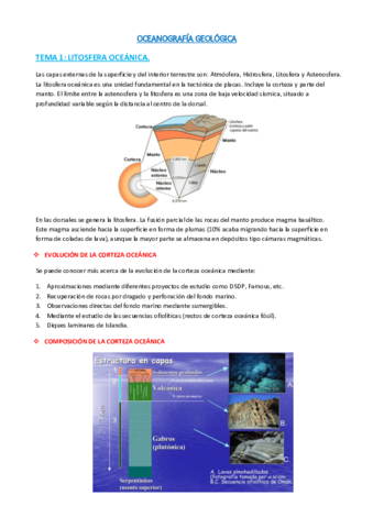 OG - RESUMEN TEMAS 1- 2 y 3 + PREGUNTAS DE EXAMEN.pdf