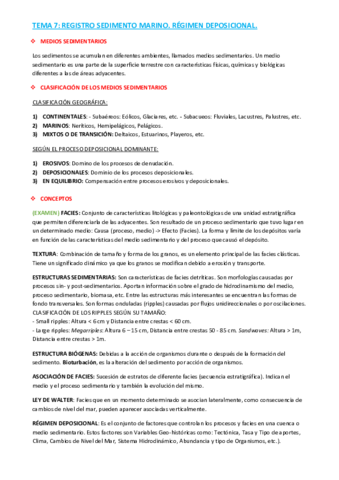 OG - RESUMEN + PREGUNTAS DE EXAMEN - TEMAS 7 y 8.pdf