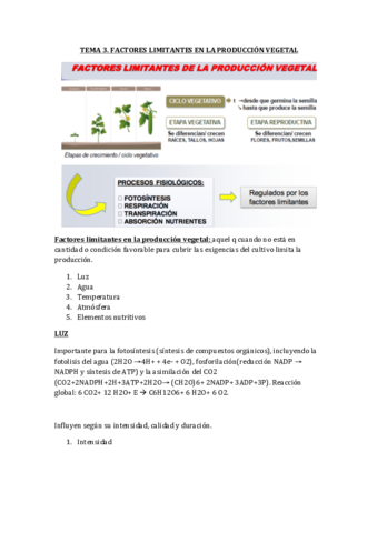 todo pmp vegetal.pdf