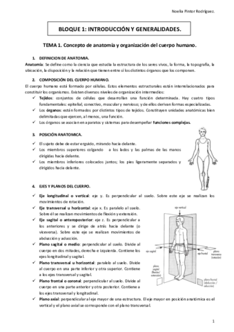 bloq1.pdf