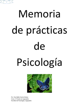 Memoria de prácticas psicología del desarrollo.pdf