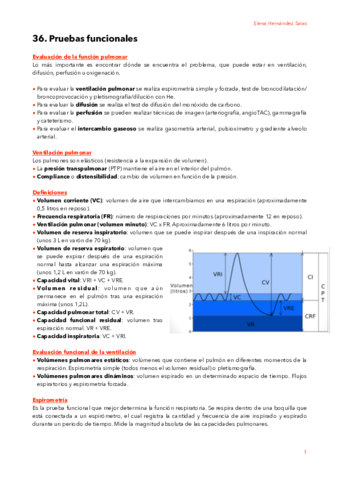 36. Pruebas funcionales.pdf