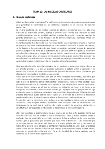 TEMA 13 PROCESAL II.pdf