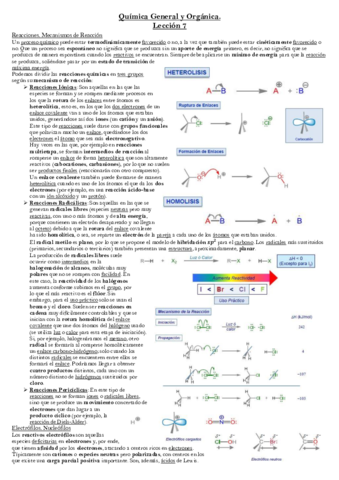 Lección 7.pdf