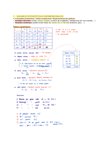 TEMA 1 (libro + apuntes clase).pdf