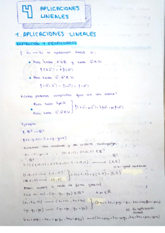 4. Aplicaciones lineales.pdf