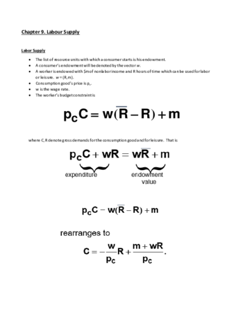 9. Labour Supply.pdf