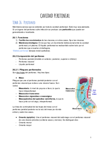 Cavidad peritoneal copia.pdf