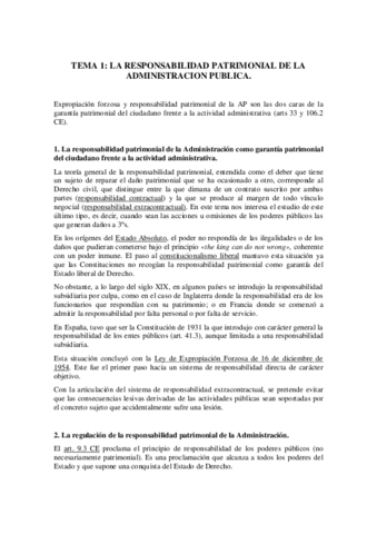 TEMA 1.pdf