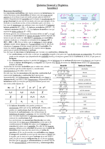 Lección 8.pdf