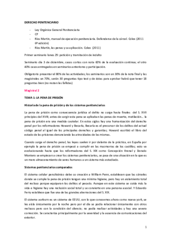 DERECHO PENITENCIARIO apuntes.pdf