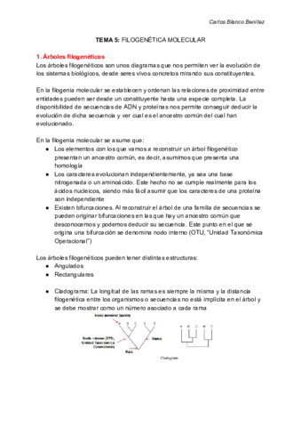 GENÓMICA Y BIOINFORMÁTICA - Tema 5 - FILOGENIA.pdf