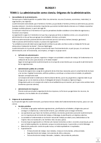 gestion completo.pdf