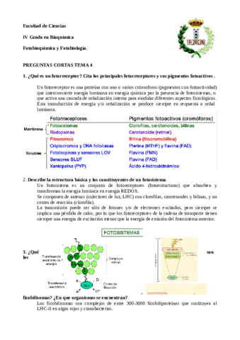 Respuestas Preguntas T4.pdf