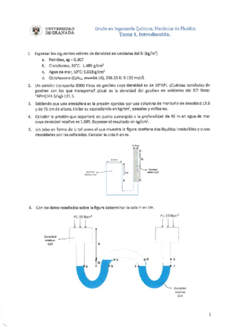 Tema 1- Ejercicios MFLU.pdf