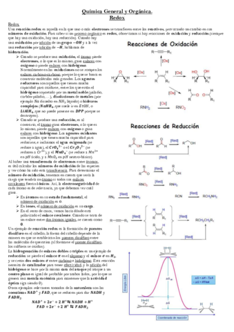 Lección Redox.pdf