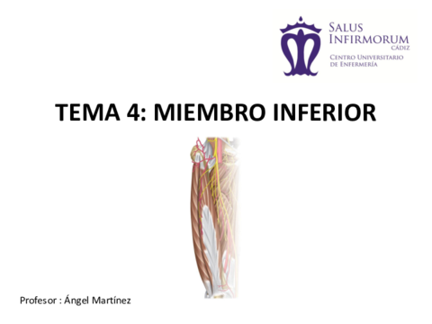 TEMA 4. MIEMBRO INFERIOR.pdf