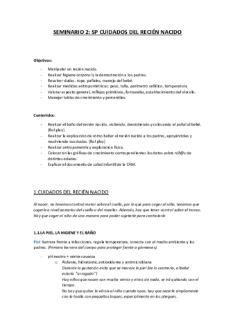 Seminario 2.pdf