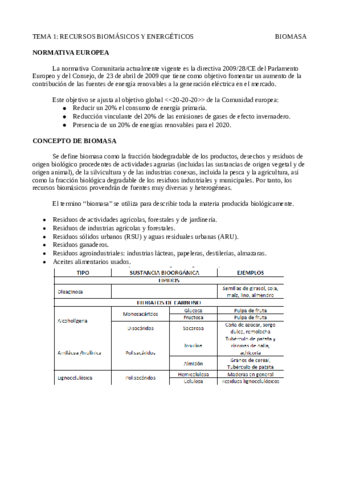 Tema 1 Recursos biomásicos y energéticos .pdf