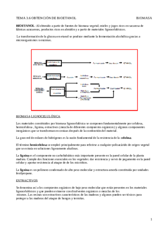 Tema 3.6 Obstención de bioetanol.pdf