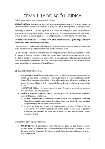 TEMA 1- civil.pdf
