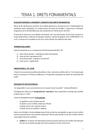 TEMA 1.pdf