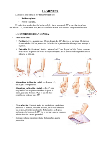 4. Miembro superior MANO Y MUÑECA.pdf