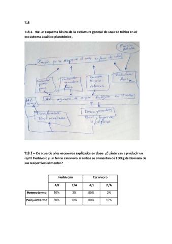 Eco final.pdf