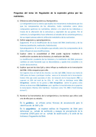 Preguntas  para tutoría del tema 14.pdf