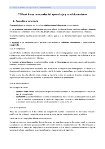 BII_TEMA 6.pdf