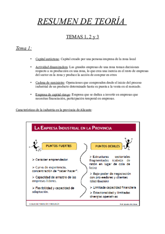 Resumen teoría temas 1 2 y 3.pdf