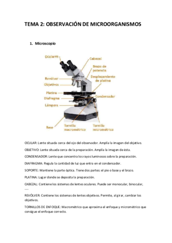 2 Microbiología.pdf